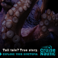 CruiseNautic - Google Ad - Octopus