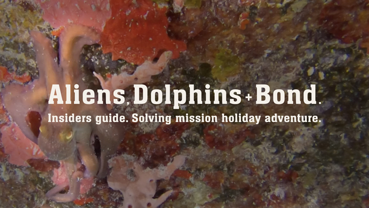 Insiders Guide. Solving mission holiday adventure.