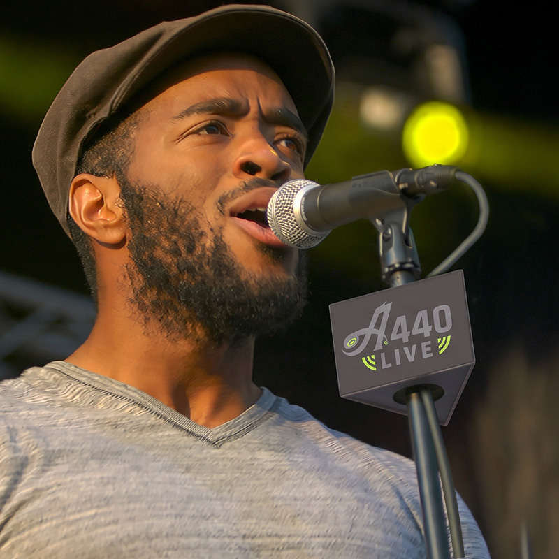 A440 Live Mic Flag