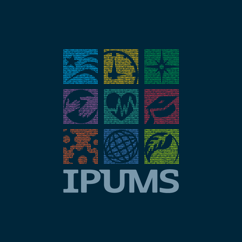 IPUMS Logo Blocks